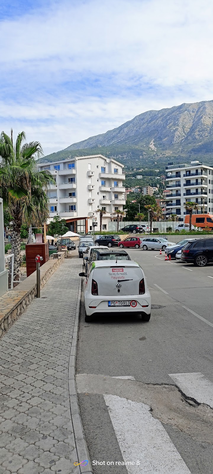 Czarnogóra, palmy i widok na góry nad Adriatykiem